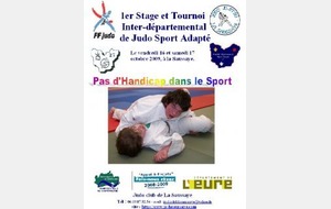 1er stage et tournoi sport adapté