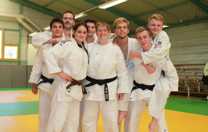 Stage arbitrage et commissaire