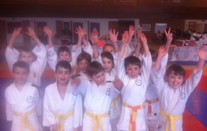 Tournoi judo de Cléon 2016
