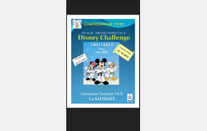 Challenge Disney Départemental ANNULE