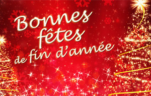 Bonnes vacances de Noël !!!