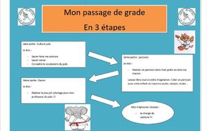 Baby / Eveil judo : passage de grade