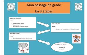 Mini-poussins / Poussins : passage de grade 