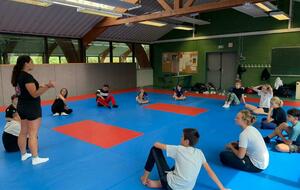 Stage de pré-rentrée Ados