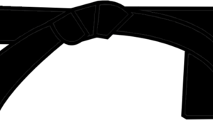 Nouvelle ceinture noire au club, pour Nicolas CUGIER