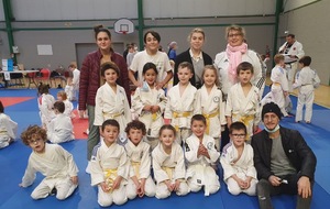 Tournois Pré poussins - Poussins de Pont Audemer 