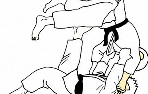 cours de judo et taïso annulés du 21 au 25 février