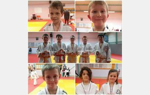 Animation départementale Poussins