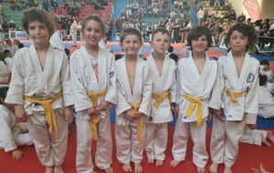 Tournoi de sotteville les rouen 