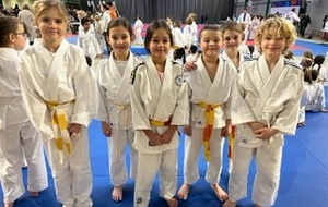 Tournoi mini poussins / poussins de Pont Audemer 