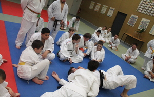 5641163c2b21c_IMG2864.JPG