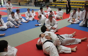 5641168bb6150_IMG2866.JPG