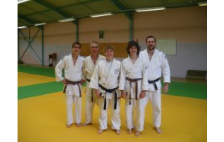 stage d'arbitrage 