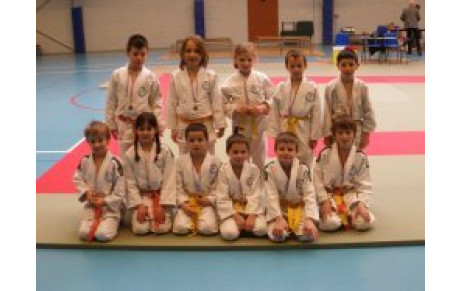 Tournoi par équipe Poussins (Amfreville la Mivoie)