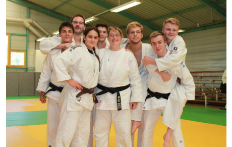 Stage arbitrage et commissaire