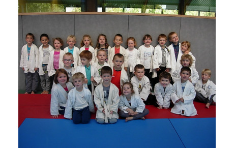 Le judo à l'école