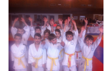 Tournoi judo de Cléon 2016