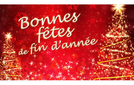Bonnes vacances de Noël !!!