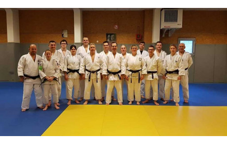 Formation taïso santé 