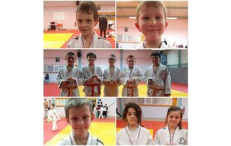 Animation départementale Poussins